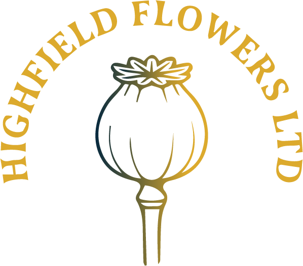Update logo